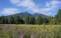 The 2026 AZAA Conference has been scheduled in Flagstaff Arizona