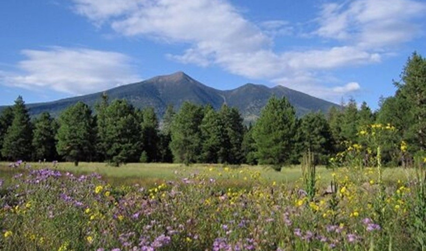 The 2026 AZAA Conference has been scheduled in Flagstaff Arizona